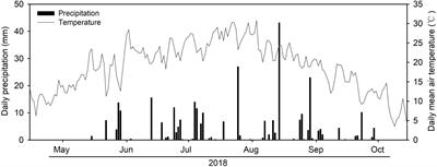 Arbuscular Mycorrhizal Fungi Alleviate Drought Stress in C3 (Leymus chinensis) and C4 (Hemarthria altissima) Grasses via Altering Antioxidant Enzyme Activities and Photosynthesis